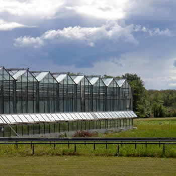 Built Environment  Green Building
