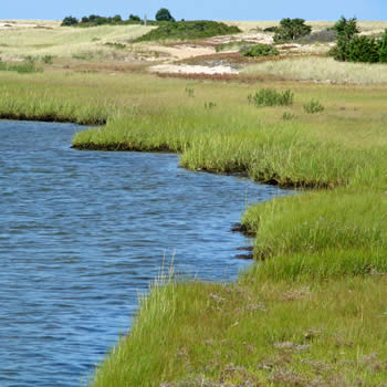CoastalPonds-TheChallenge