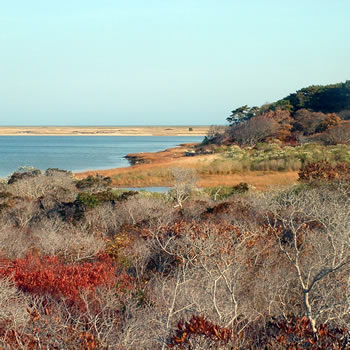 Open Space Biodiversity