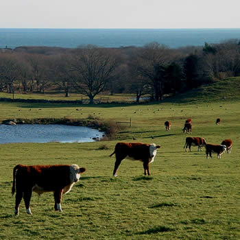Open Space